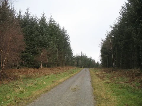 An image depicting the trail High Vinnalls, Garden House Wood, Shobdon Hill Walk and its surrounding area.