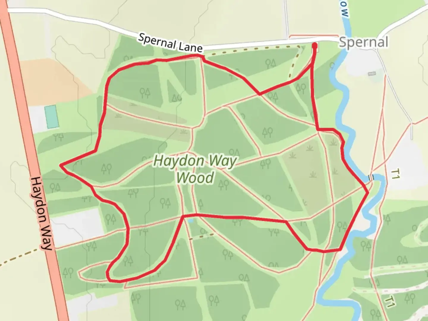 An image depicting the trail Haydon Way Wood Loop and its surrounding area.