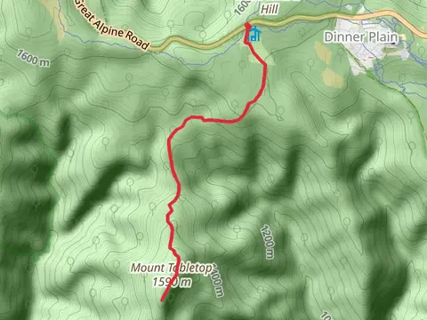 Tabletop Walking Track