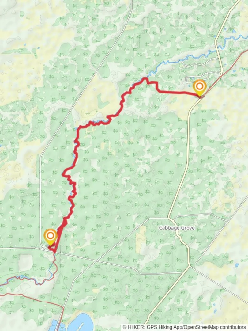 An image depicting the trail Aucilla River and Florida Trail and its surrounding area.