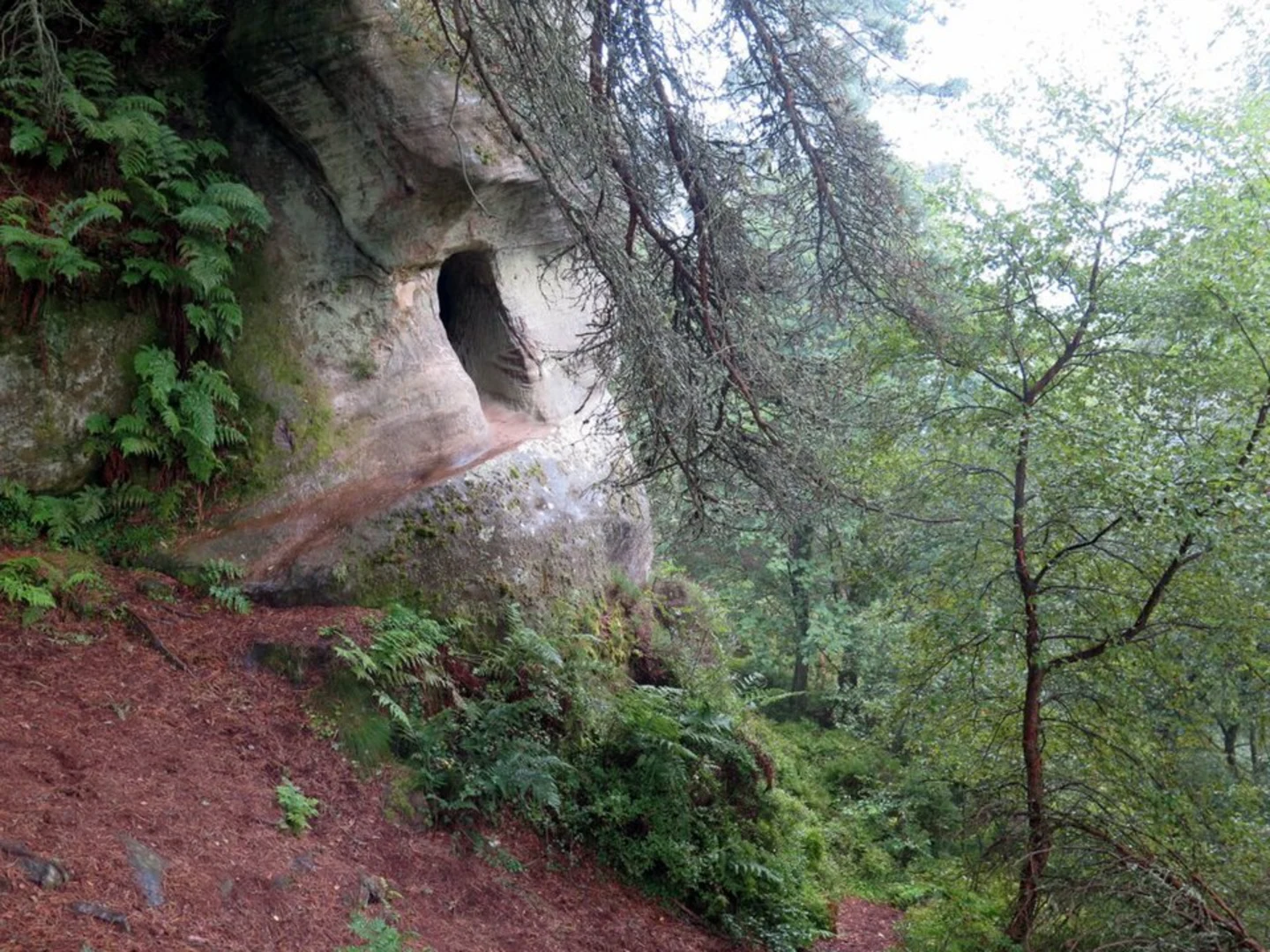 An image depicting the trail Thrunton Wood Long Loop and its surrounding area.