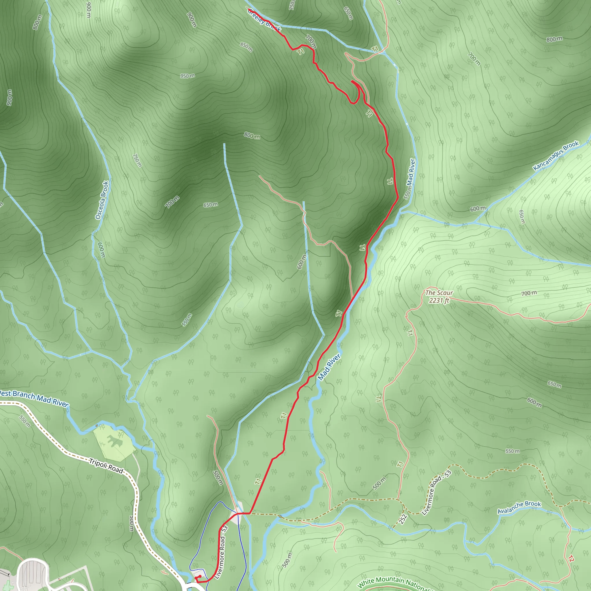 Timber Camp Trail mobile static map