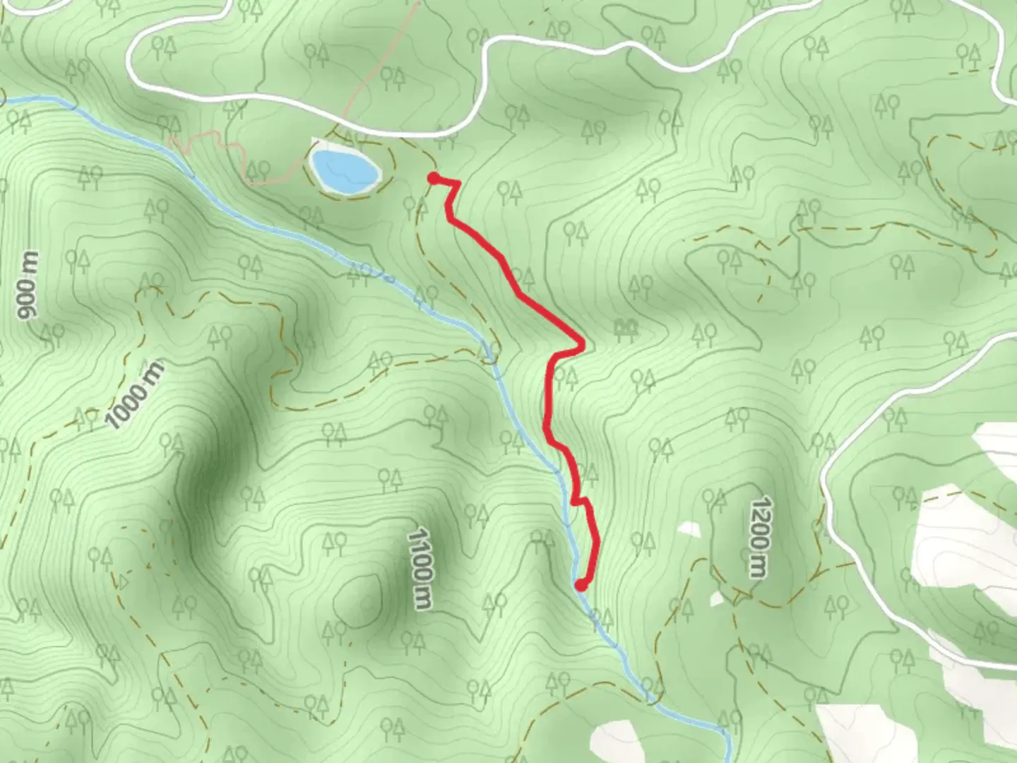 An image depicting the trail Hemlock Creek and its surrounding area.