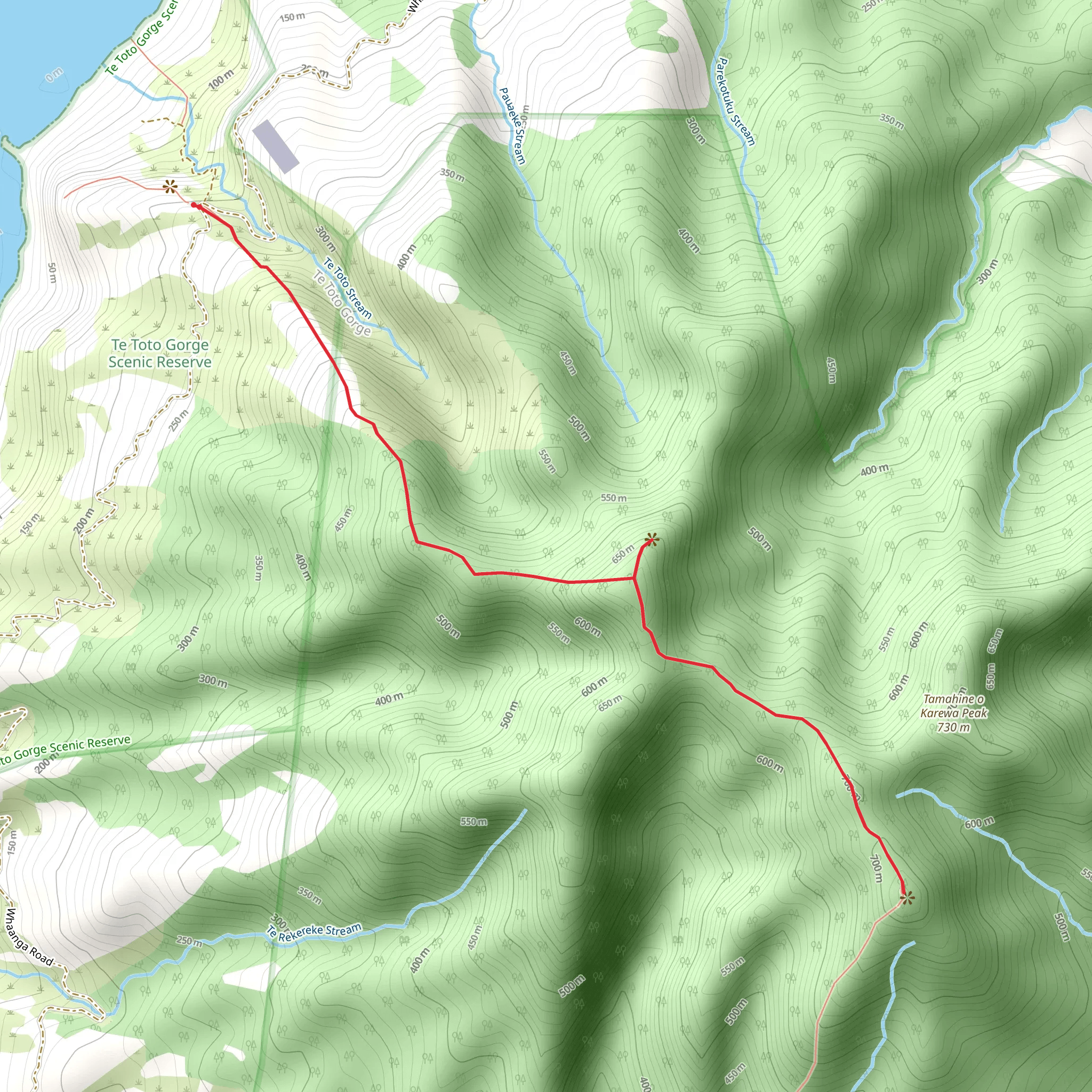 Mt Karioi Track mobile static map