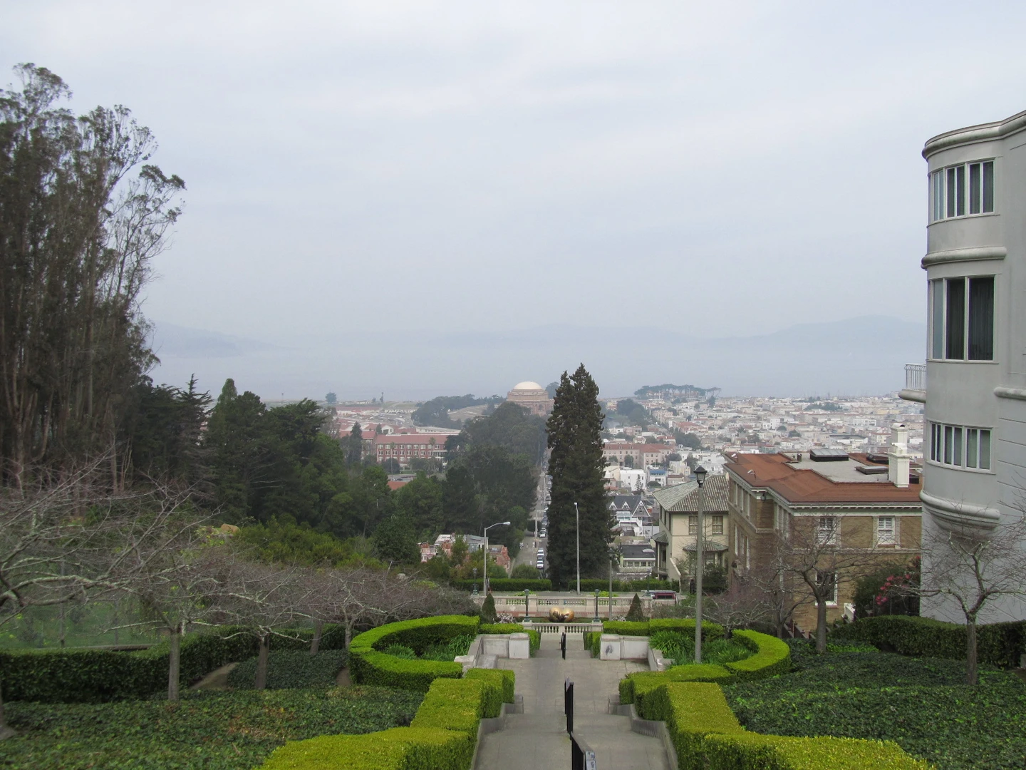 An image depicting the trail Lyon Street and its surrounding area.