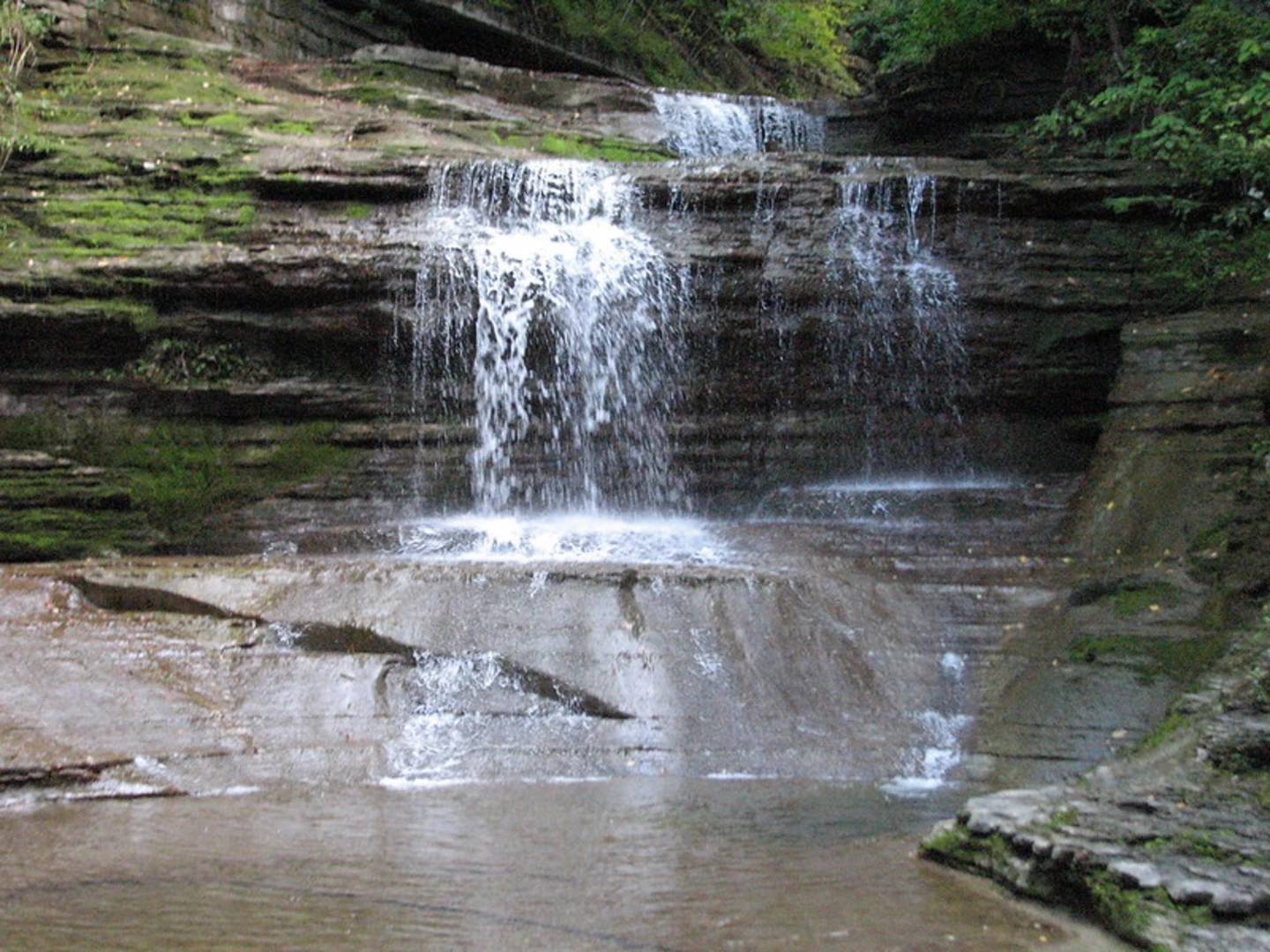 An image depicting the trail Buttermilk Creek and Lake Treman Loop and its surrounding area.