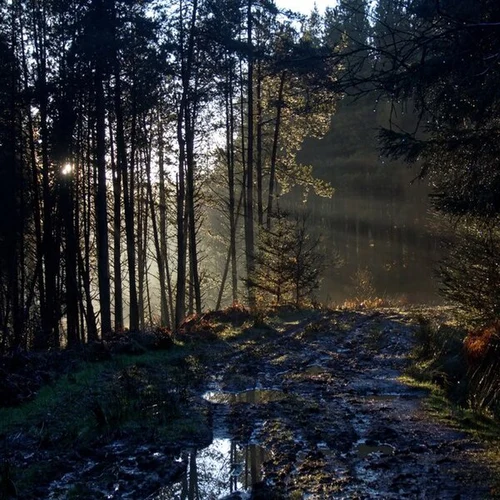 Clay Bank Top to Blakey Ridge Walk