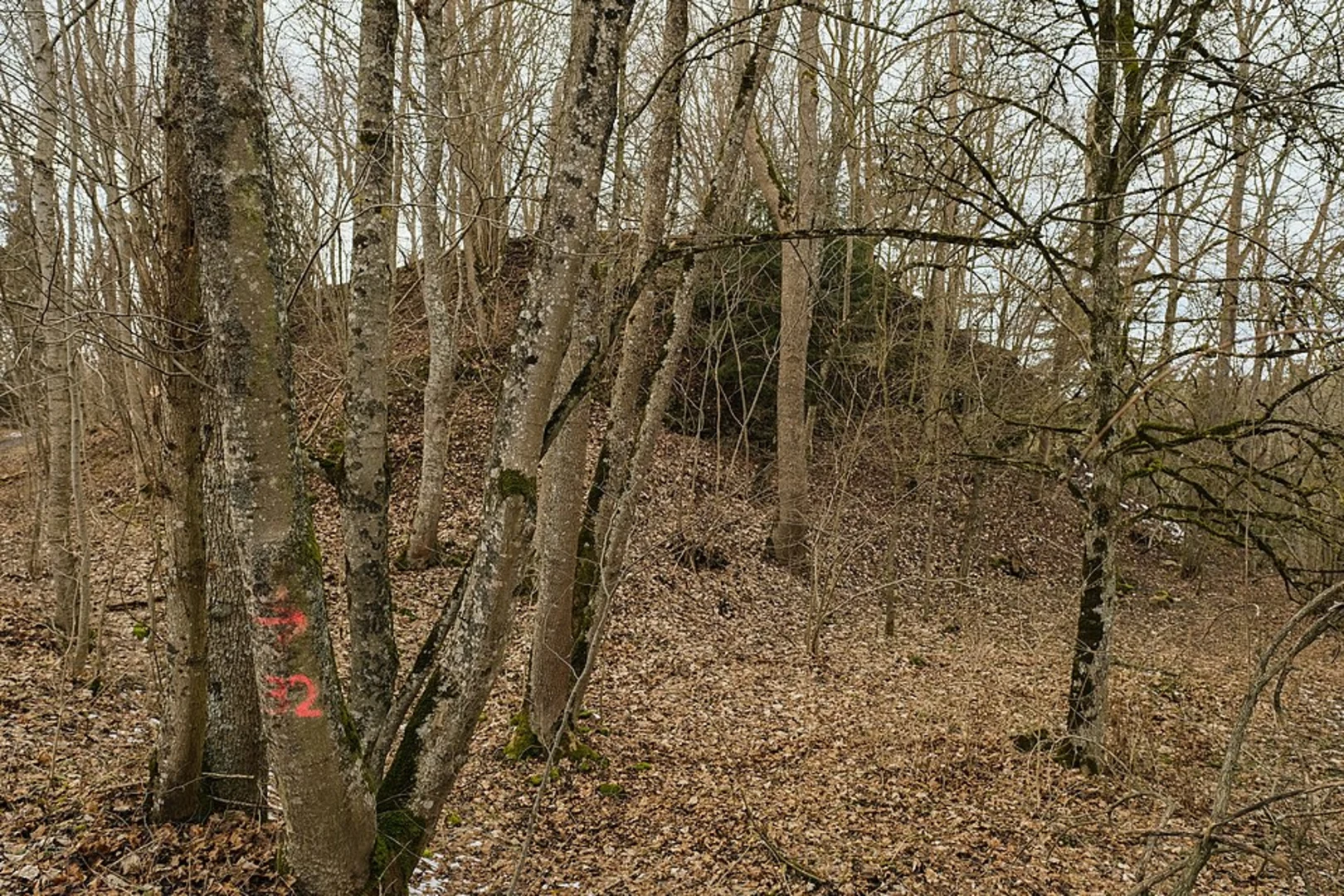 An image depicting the trail Wildsaufelsen and Rotenstein Loop and its surrounding area.