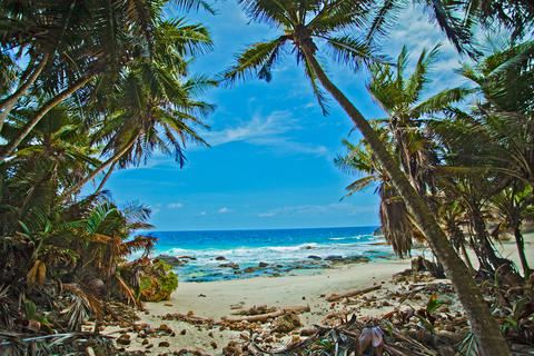 Dolly Beach Trail