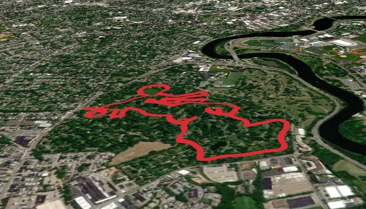 Willow Pond and Halcyon Lake Loop