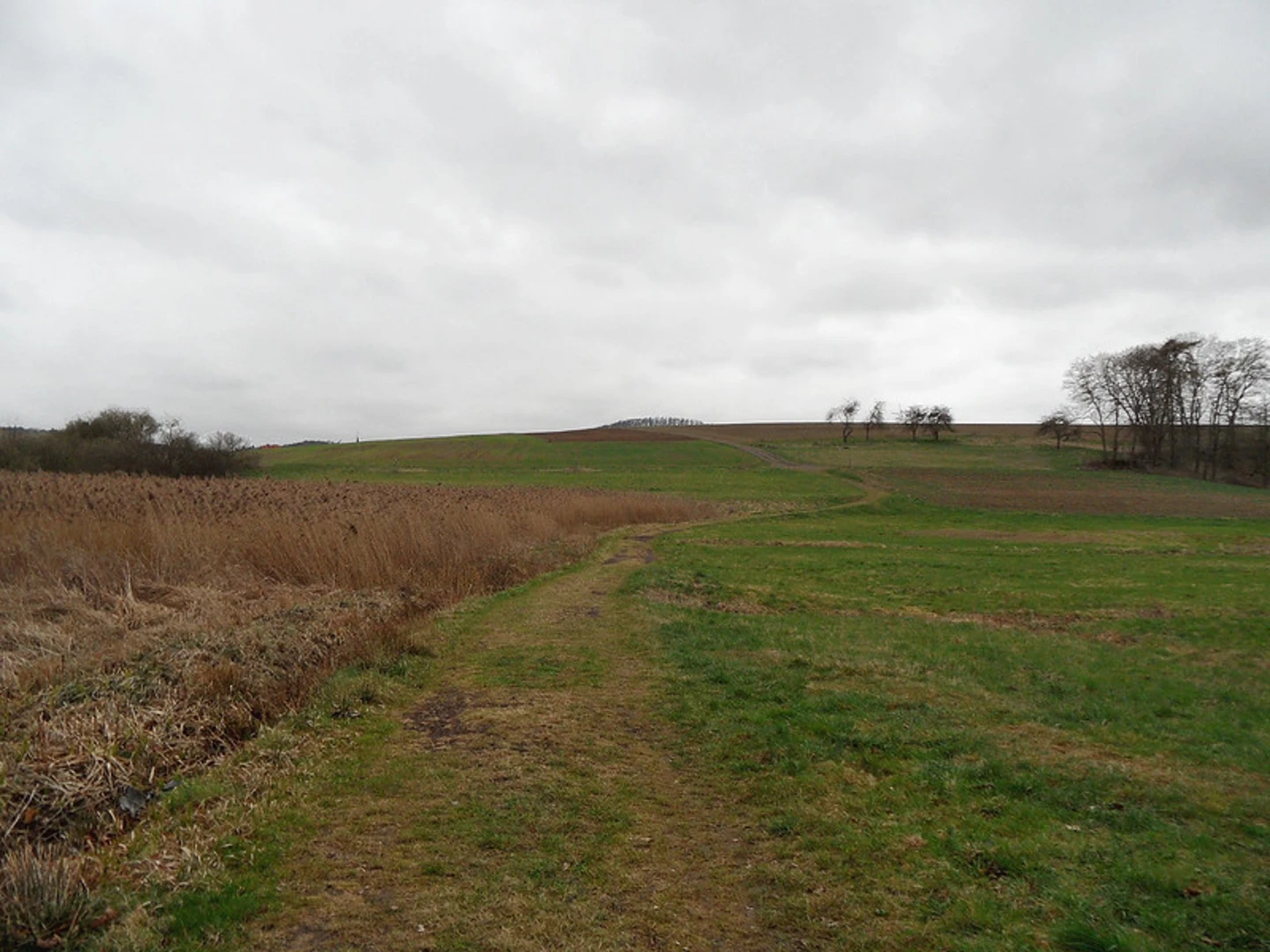 An image depicting the trail Krippenweg Kell and Traumpfad Hohlen- und Schluchtensteigh Kell Loop and its surrounding area.