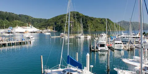 An image depicting the trail Snout Track and Lower Bob's Bay Track Loop and its surrounding area.