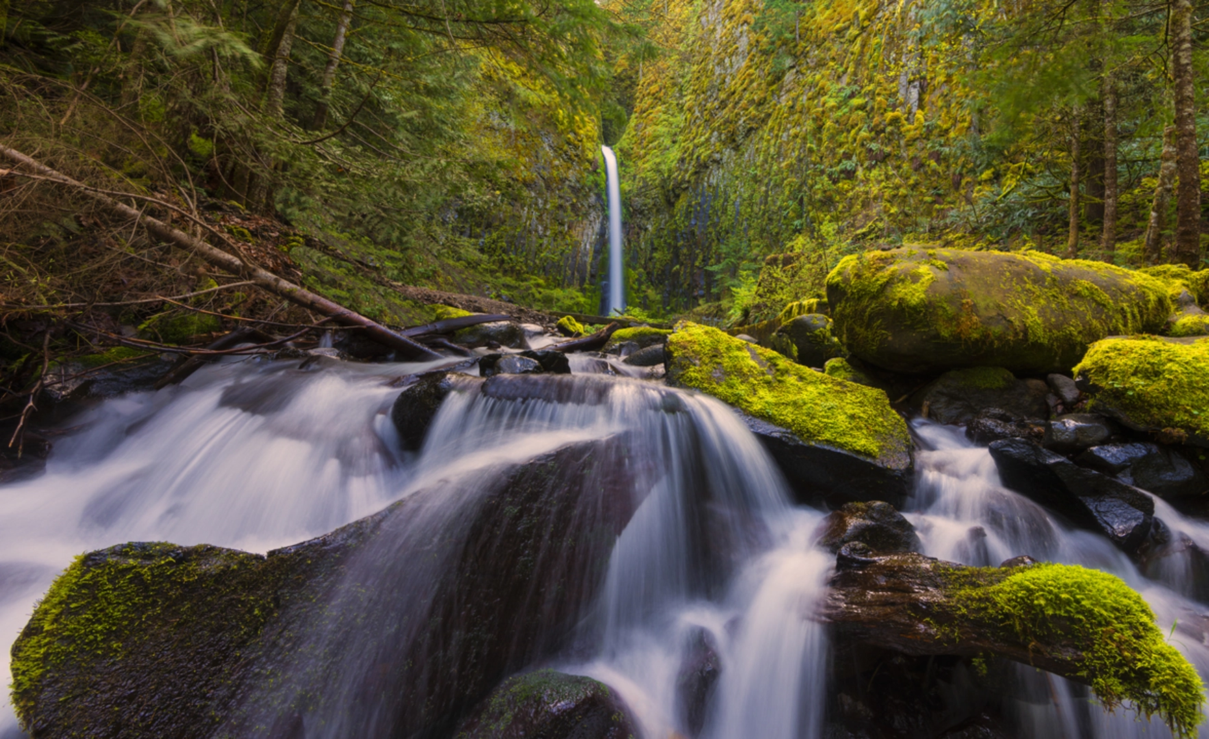An image depicting the trail Dry Creek Falls Trail and its surrounding area.