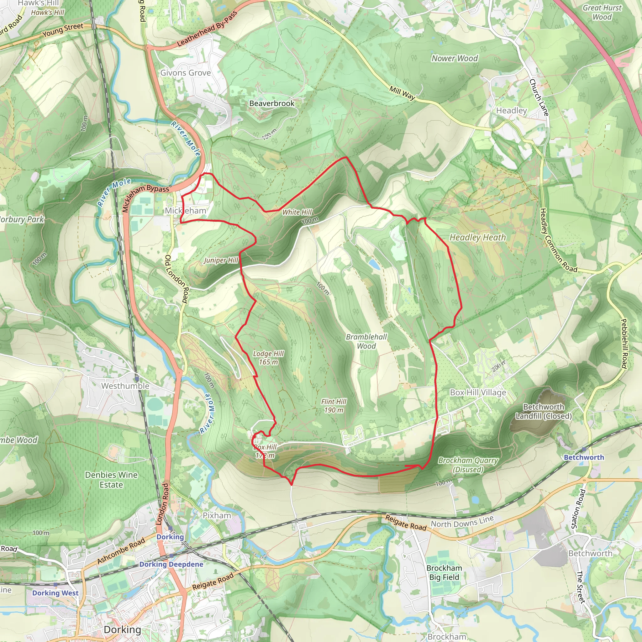 The Box Hill Hike mobile static map