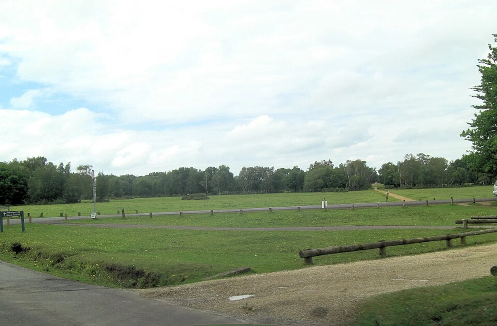 An image depicting the trail Whitley Wood and King's Hat in Lyndhurst and its surrounding area.