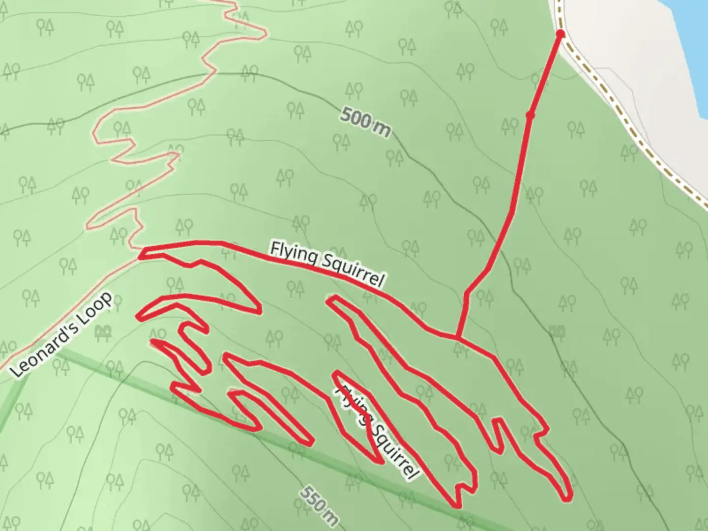 An image depicting the trail Flying Squirrel Loop Trail and its surrounding area.