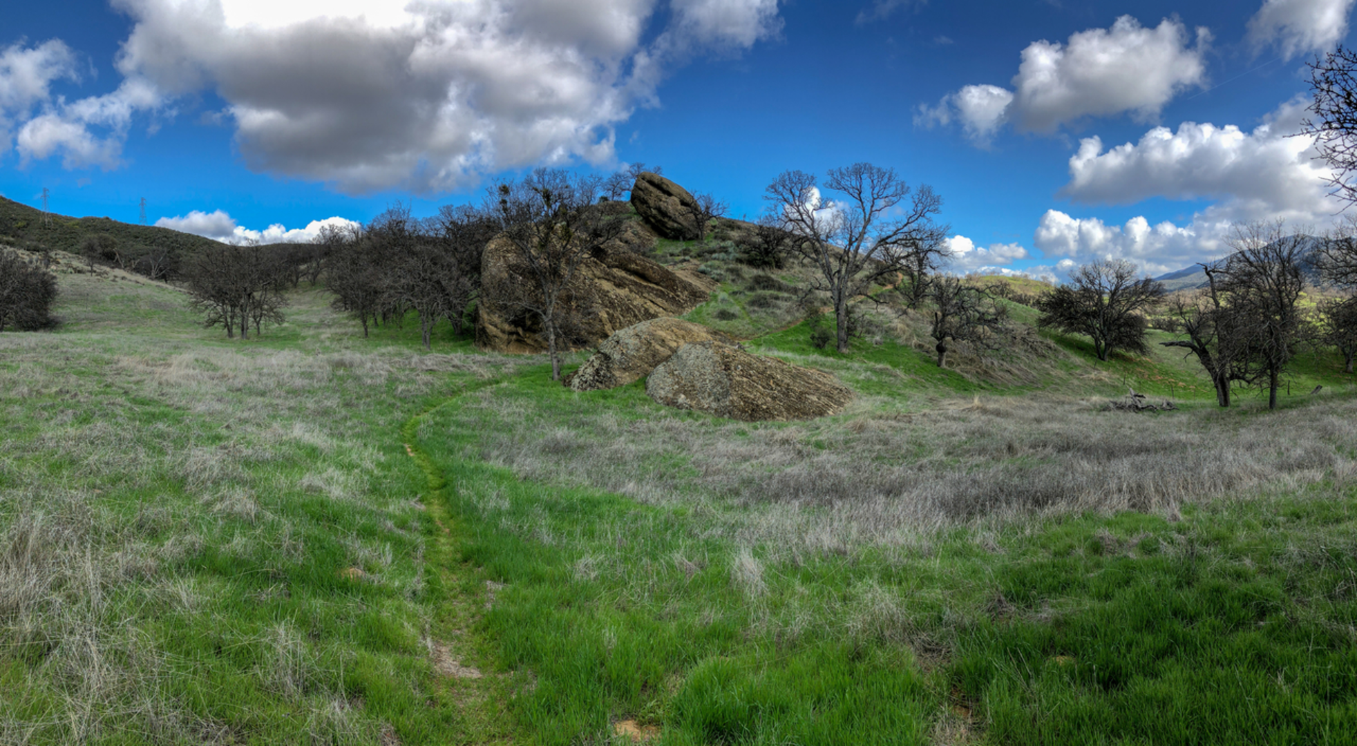 An image depicting the trail Gifford Trail and its surrounding area.