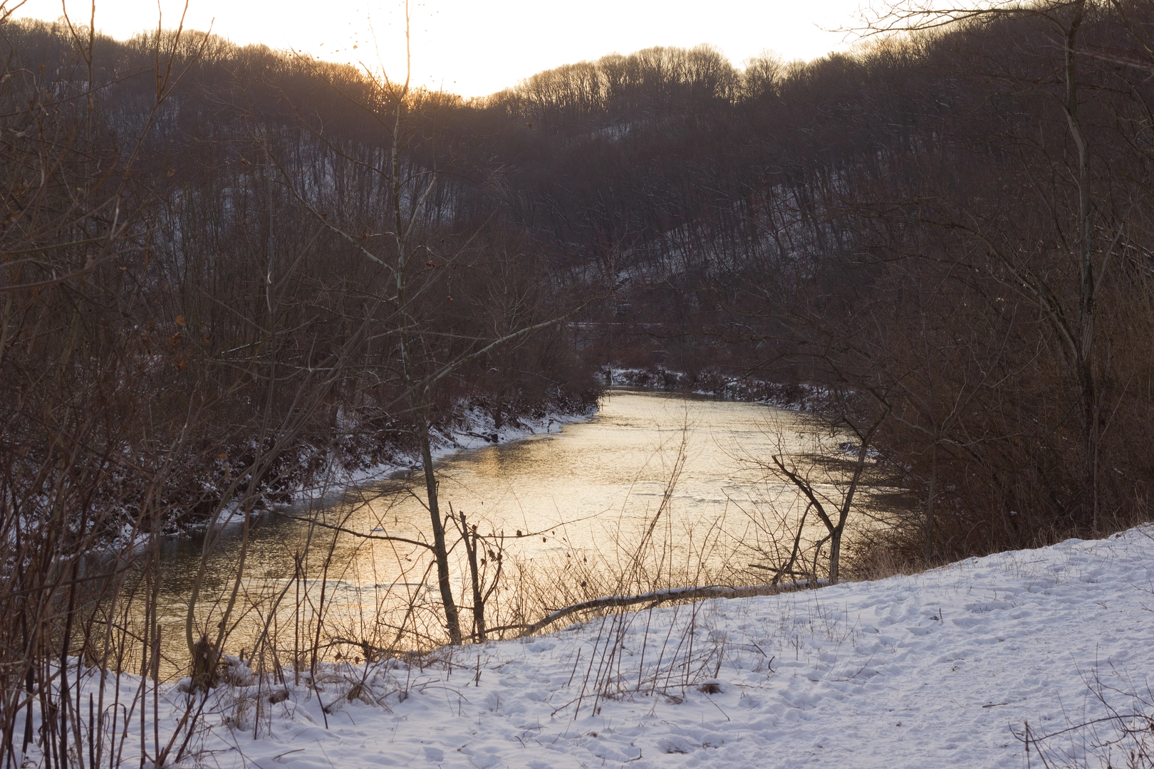 An image depicting the trail Chartiers Creek Trail via Thornburg Trail and its surrounding area.