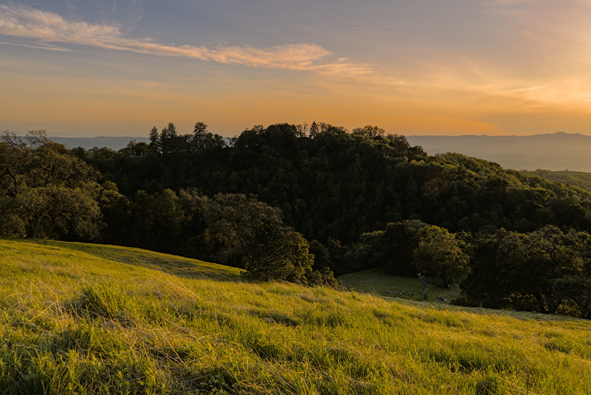 Jim Donnelly Trail, Kelly Lake Trail and Grizzly Gulch Trail Loop