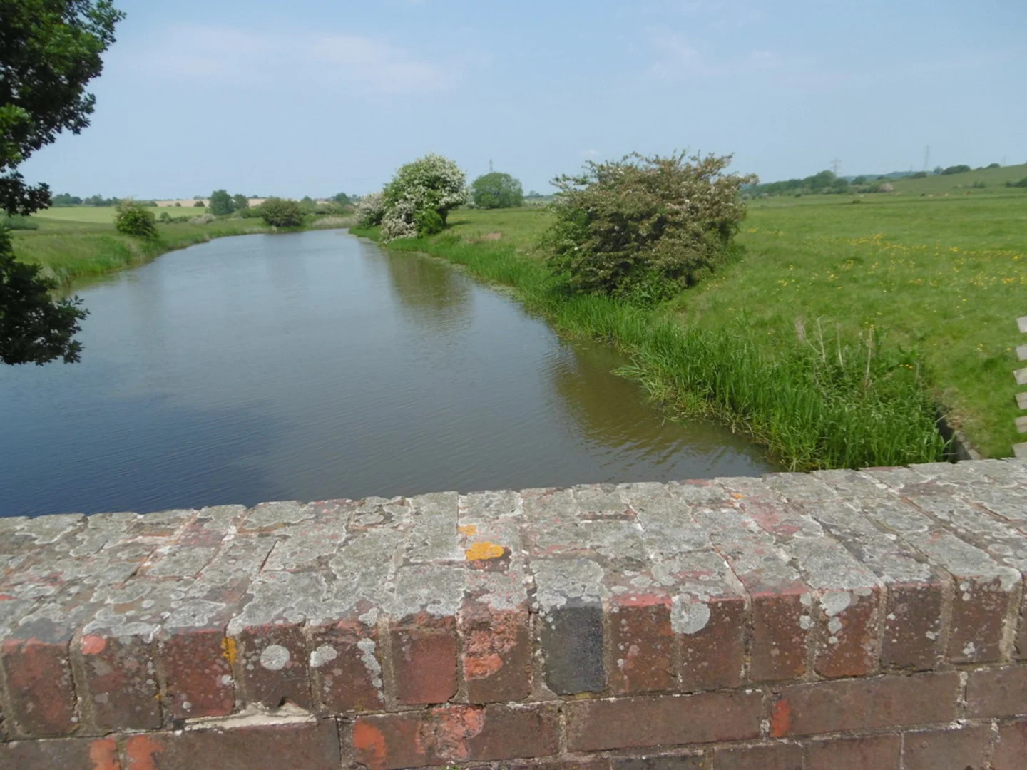 An image depicting the trail Wartling Wood and Plantation Wood Loop and its surrounding area.