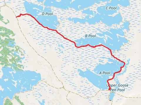 Pool A, B and D - D Outfall Road B