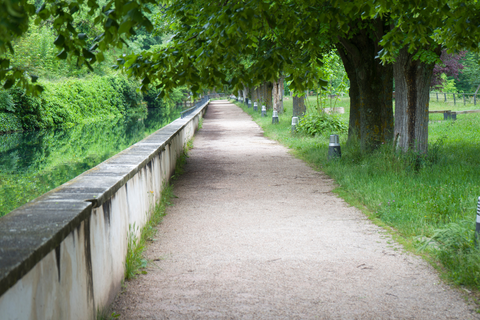An image depicting the trail By the Table of Oña PR BU 65 and its surrounding area.