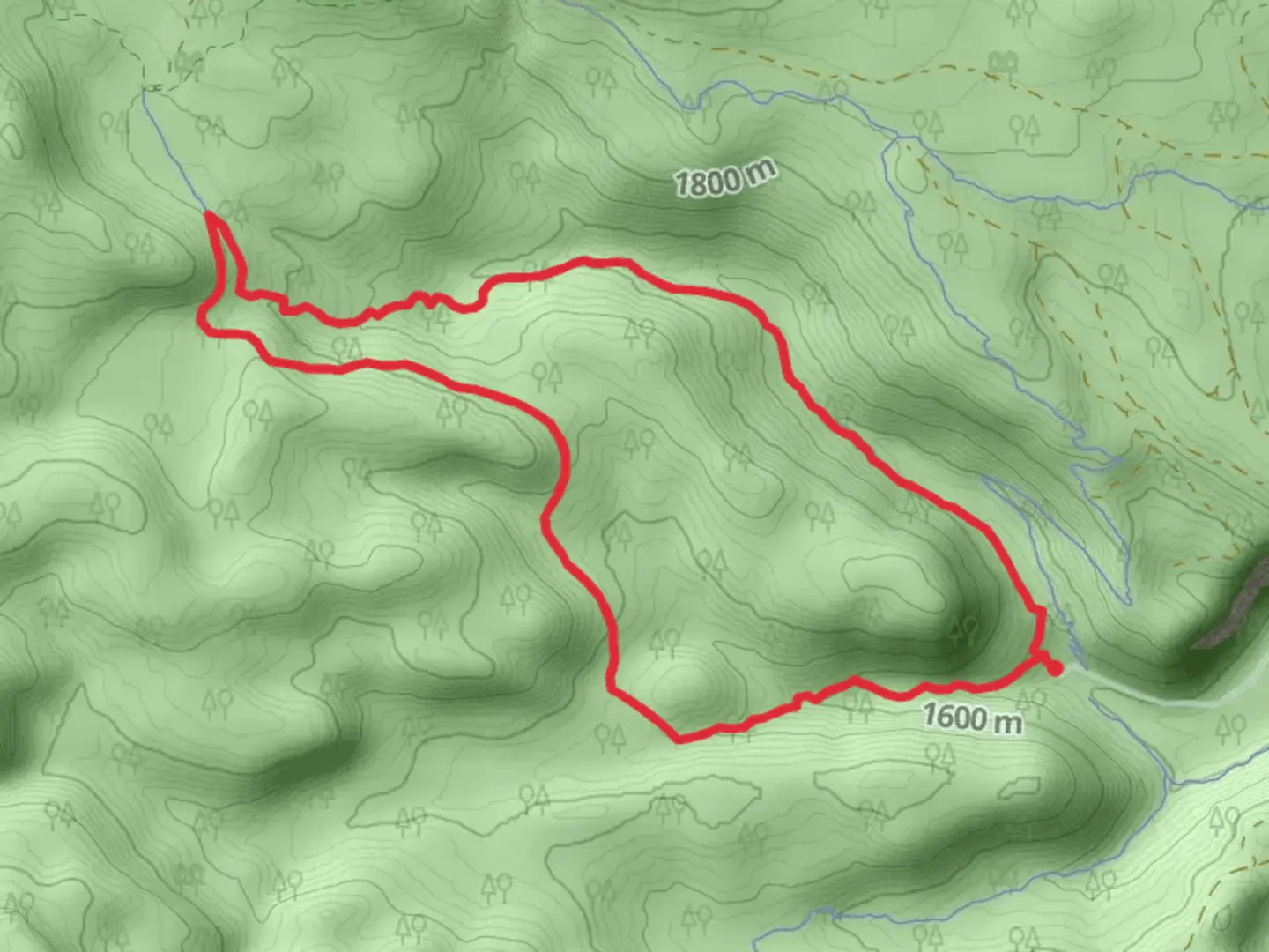 An image depicting the trail North Fork and Swampy Lakes Loop Trail and its surrounding area.