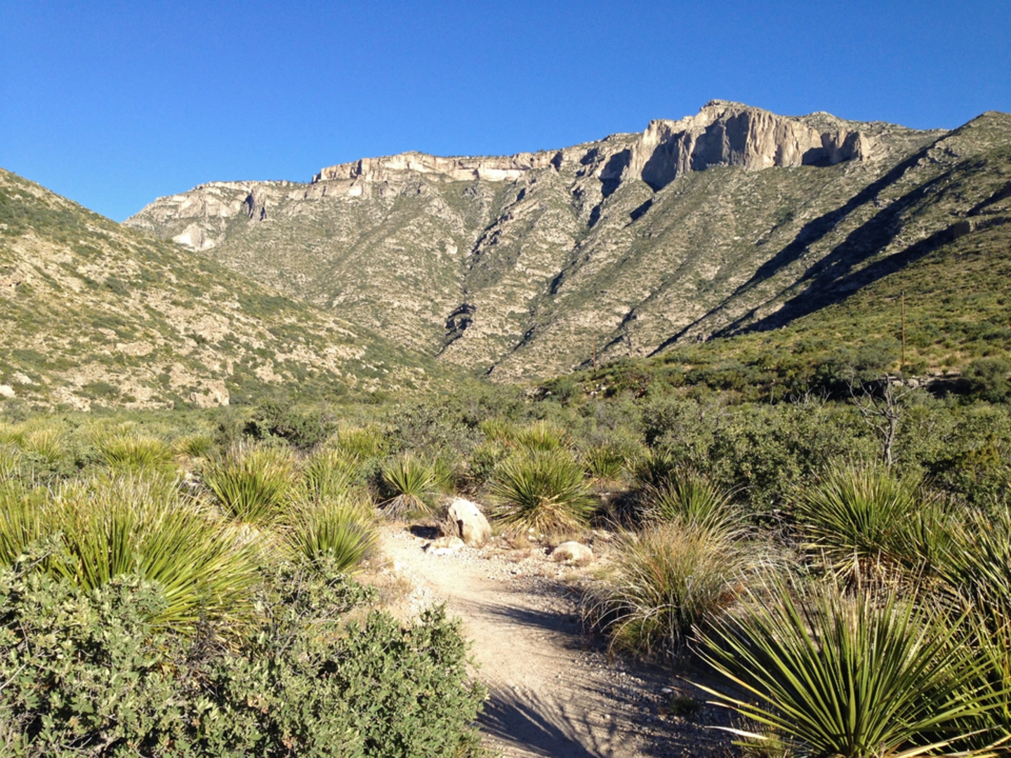 An image depicting the trail McKittrick Canyon Trail and its surrounding area.