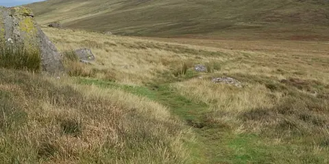 An image depicting the trail The Golden Road Walk and its surrounding area.
