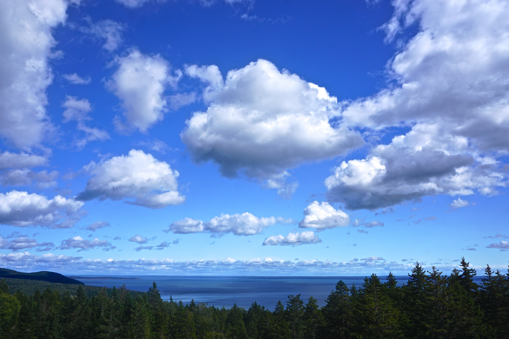 An image depicting the trail Dobson Trail and its surrounding area.