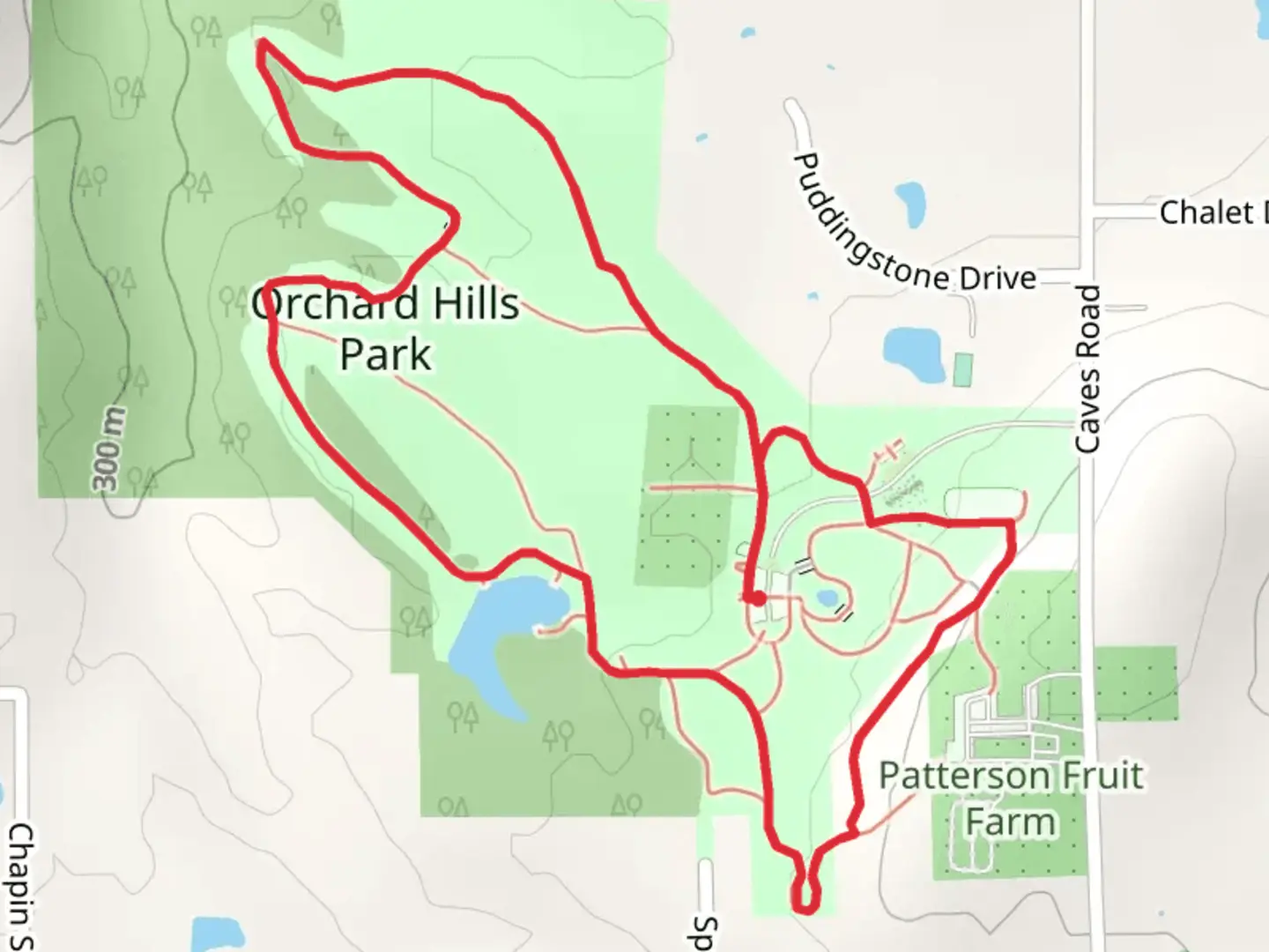 An image depicting the trail Orchard Hills Park Loop and its surrounding area.