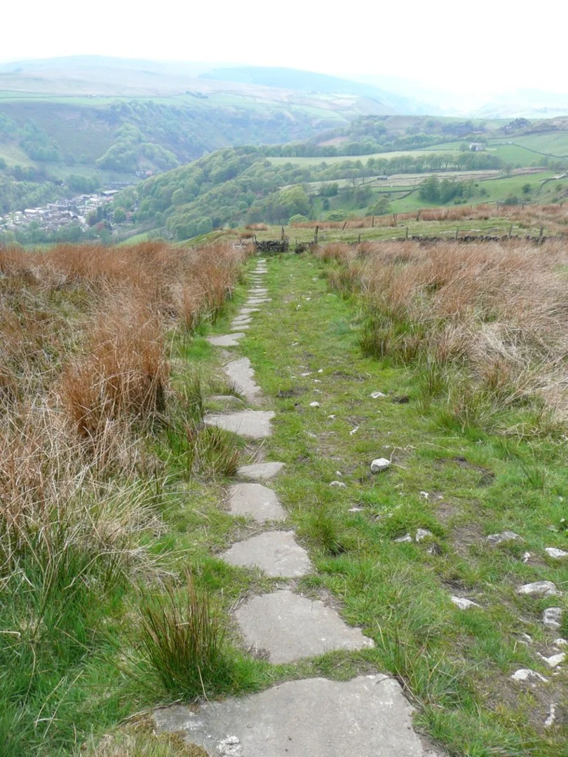 An image depicting the trail Hudson Moor Loop - Lydgate and its surrounding area.