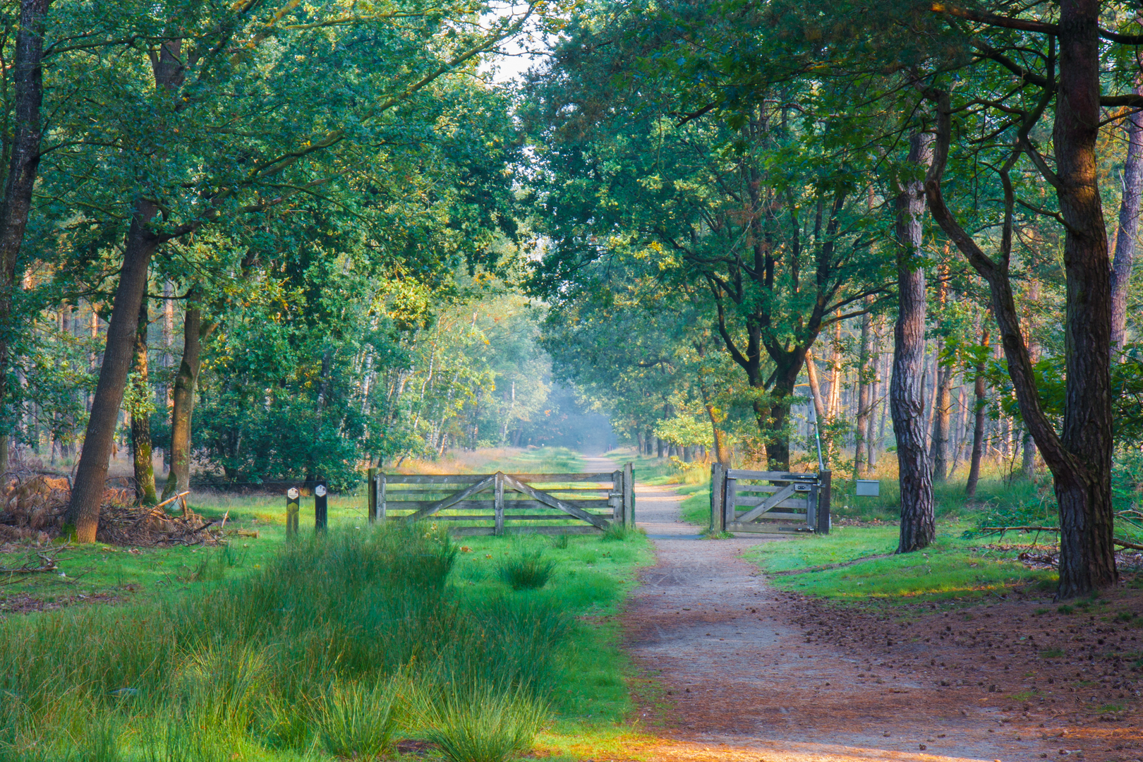 An image depicting the trail Somerensche Heide, Boksenberg and Keelven Loop and its surrounding area.