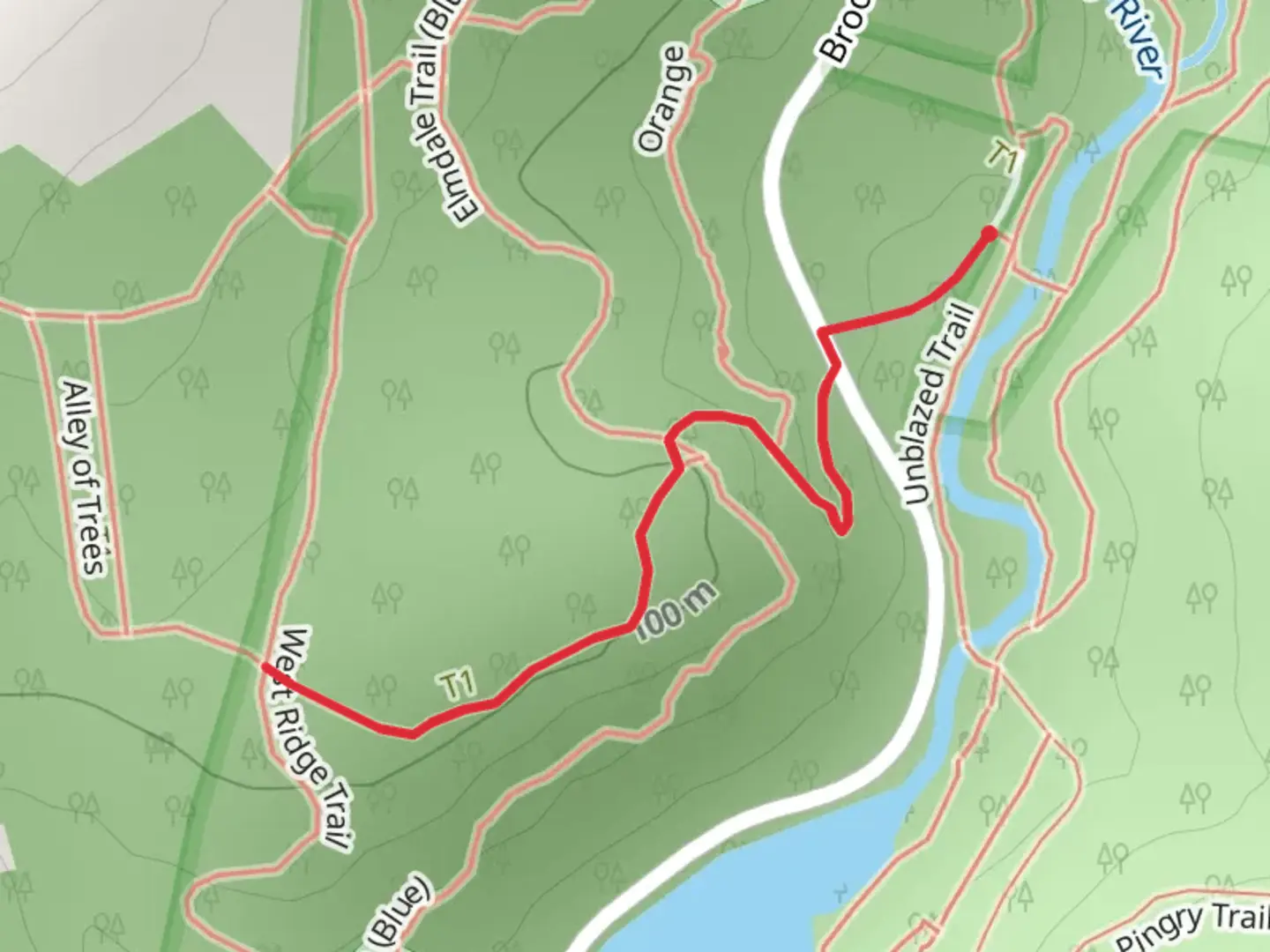 An image depicting the trail Painter's Point Lane and its surrounding area.
