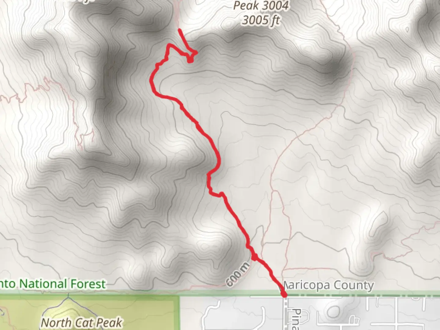 An image depicting the trail Pass Mountain Trail Out and Back and its surrounding area.