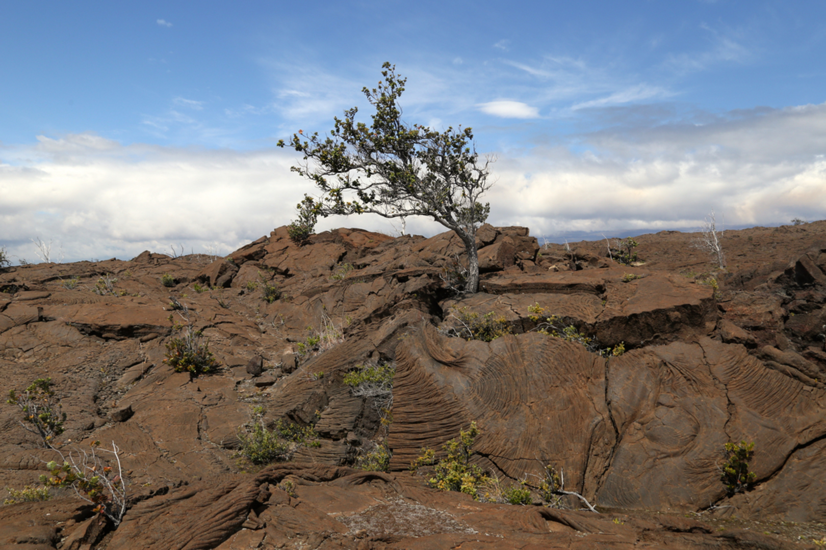 An image depicting the trail Ka'aha and Ka'u Desert Trail and its surrounding area.