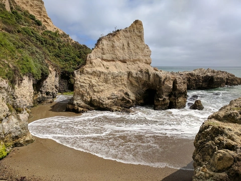 An image depicting the trail Woodward, Coast and Bear Valley Loop Trail and its surrounding area.
