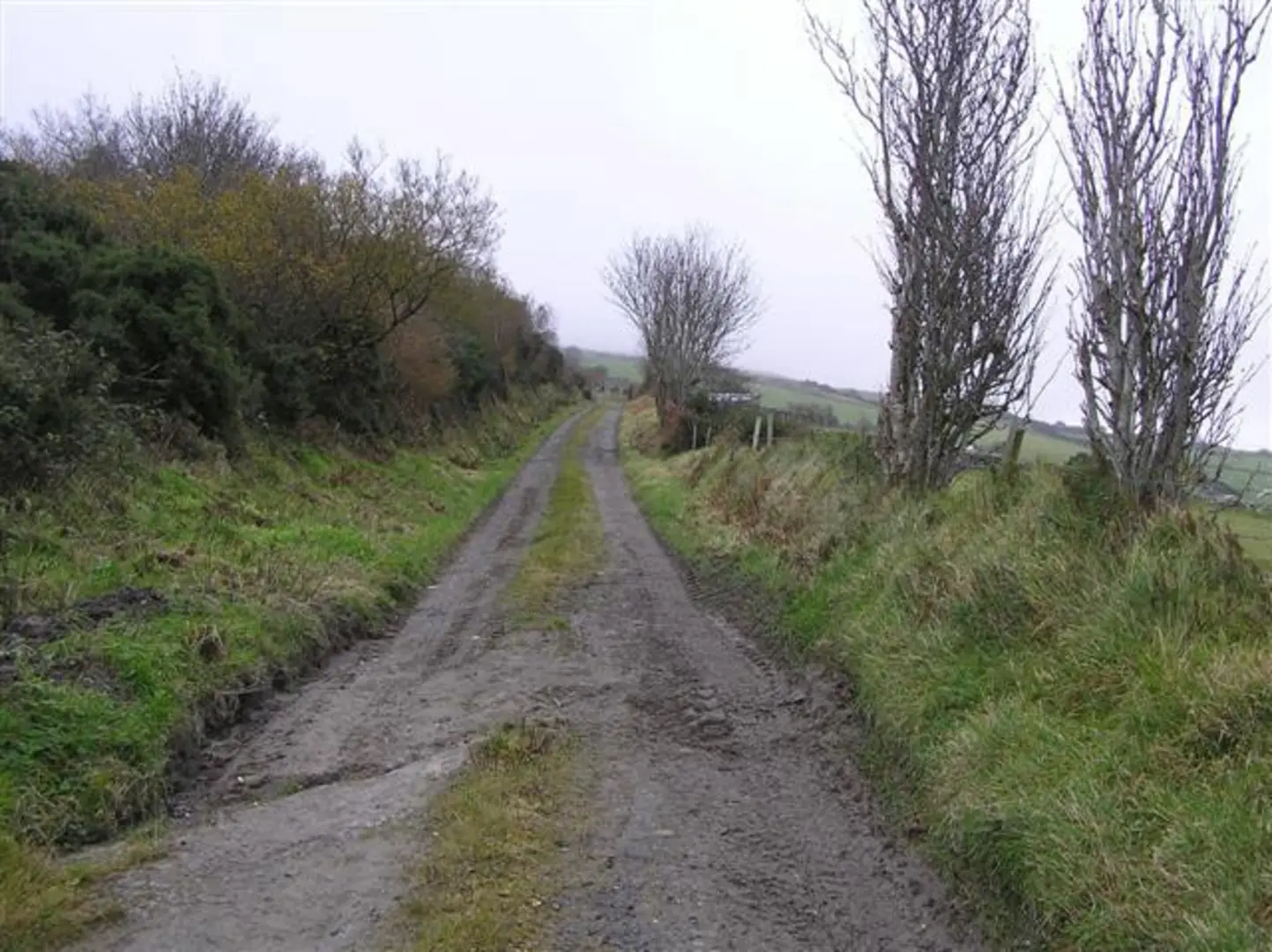 An image depicting the trail Scalp Mountain and its surrounding area.