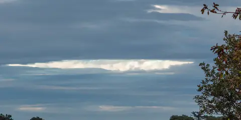 An image depicting the trail Knocksink Wood and its surrounding area.