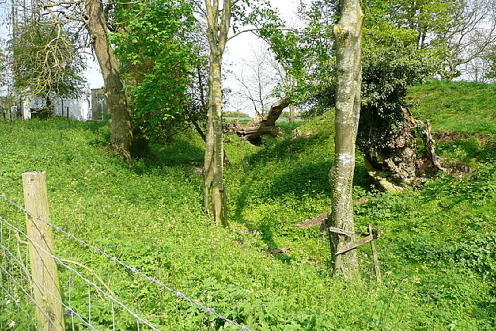 An image depicting the trail Upper Wootton Loop and its surrounding area.