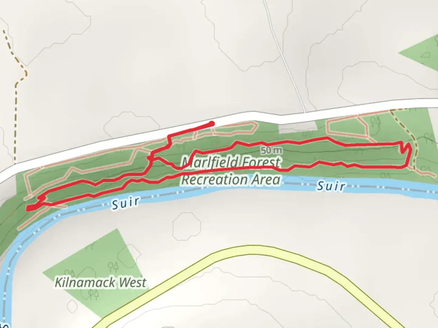 An image depicting the trail Marlfield Woods - Glenbawn and its surrounding area.