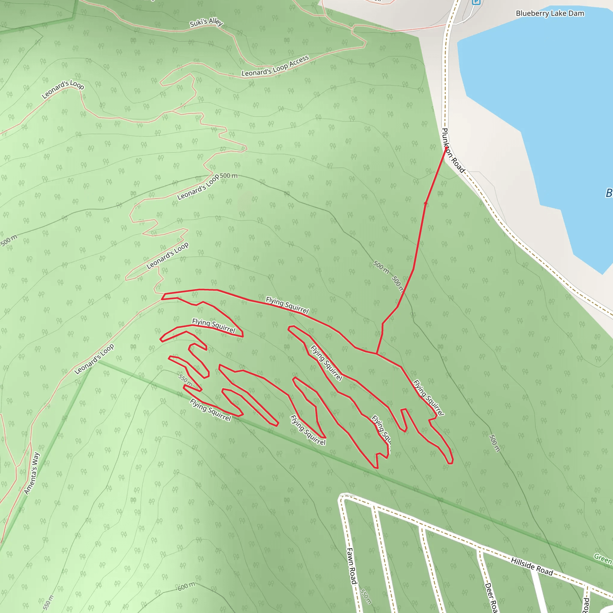 Flying Squirrel Loop Trail mobile static map