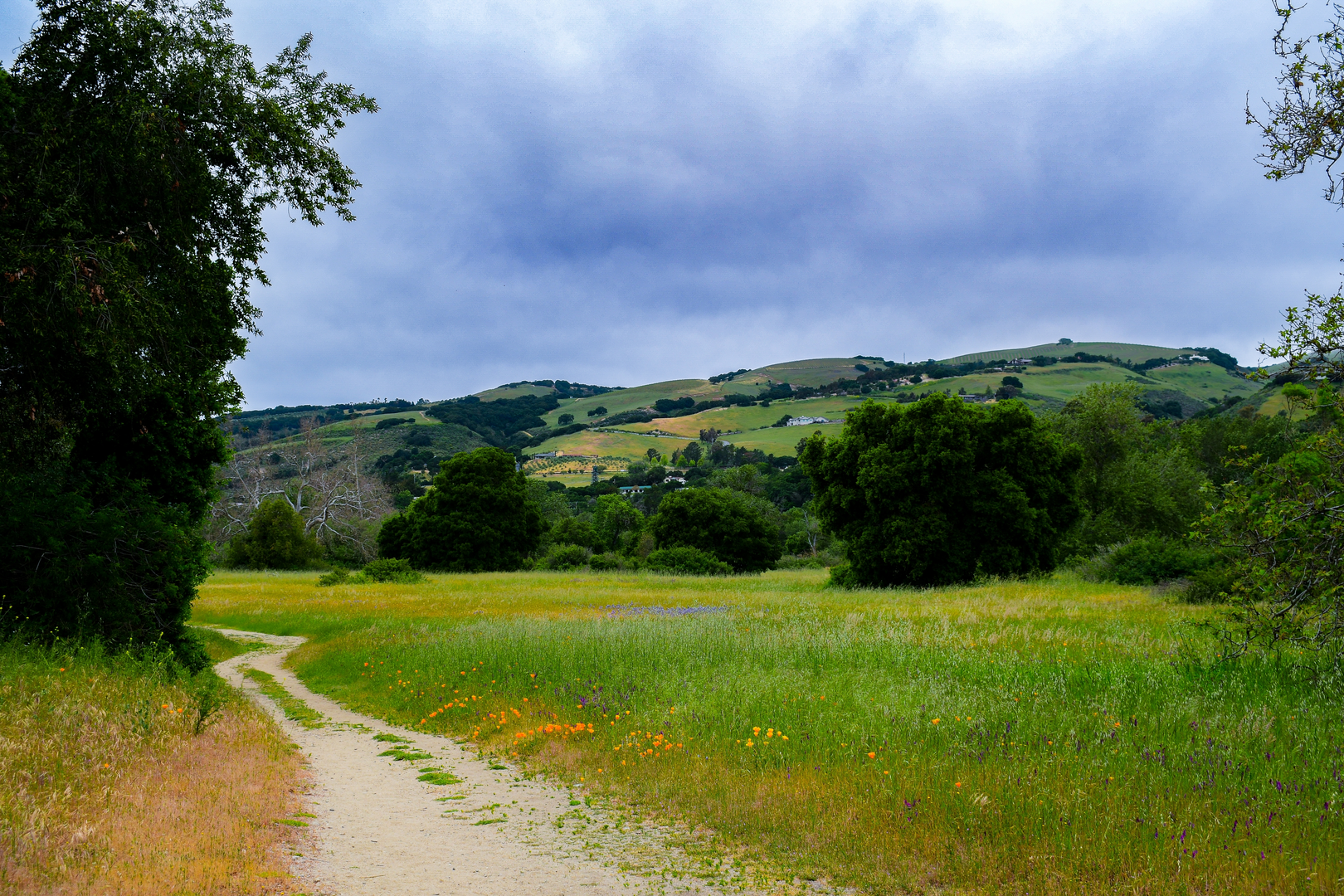 An image depicting the trail Gabilan and Laureles Loop Trail and its surrounding area.