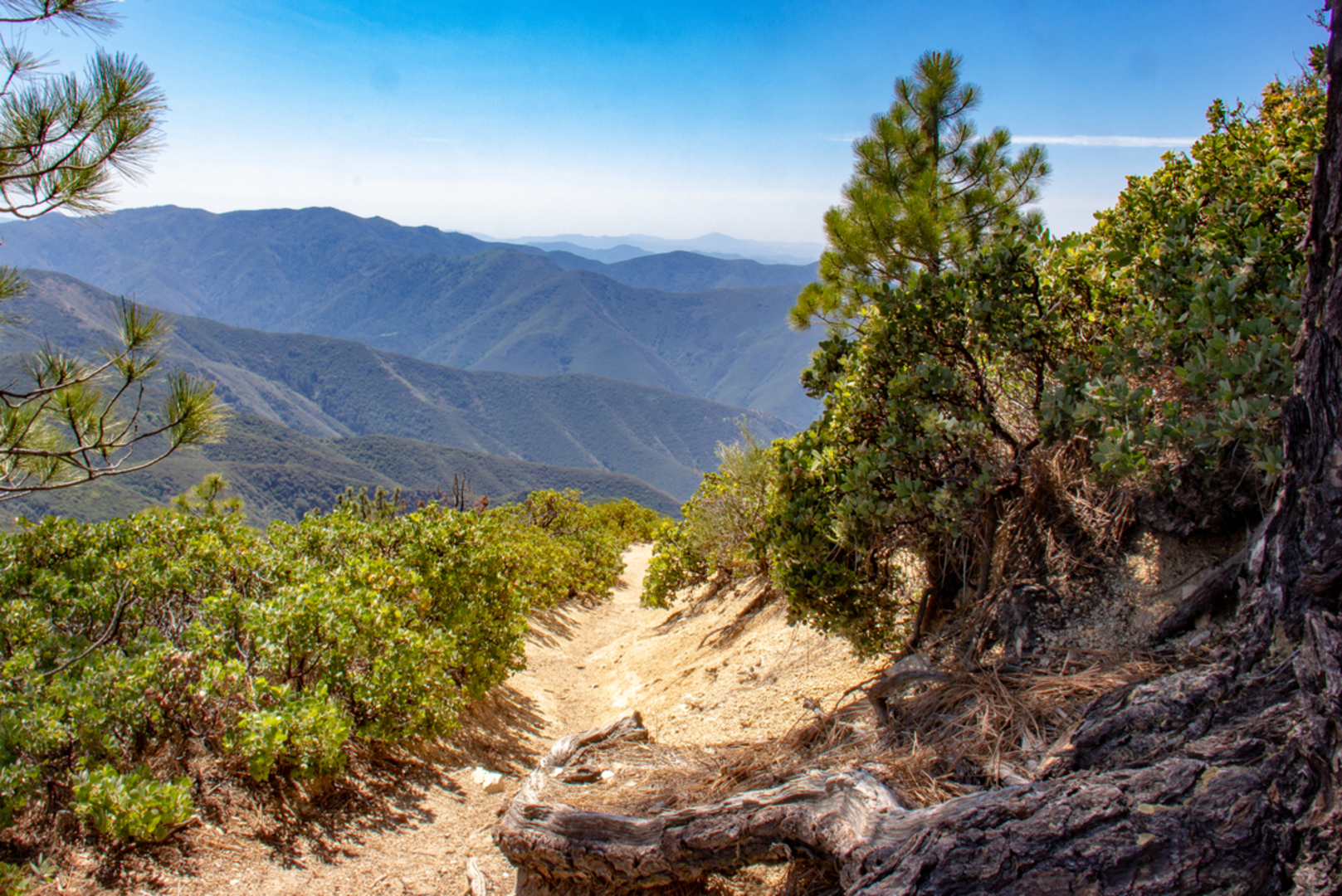 An image depicting the trail Cold Water Canyon Trail and its surrounding area.