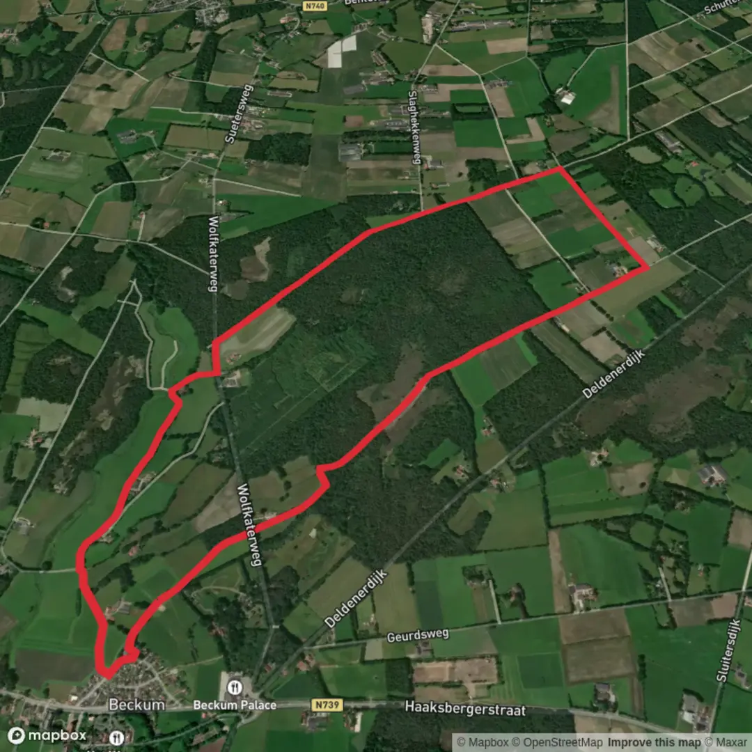 An image depicting the trail Overijssels Havezatenpad and Torendijk Loop and its surrounding area.
