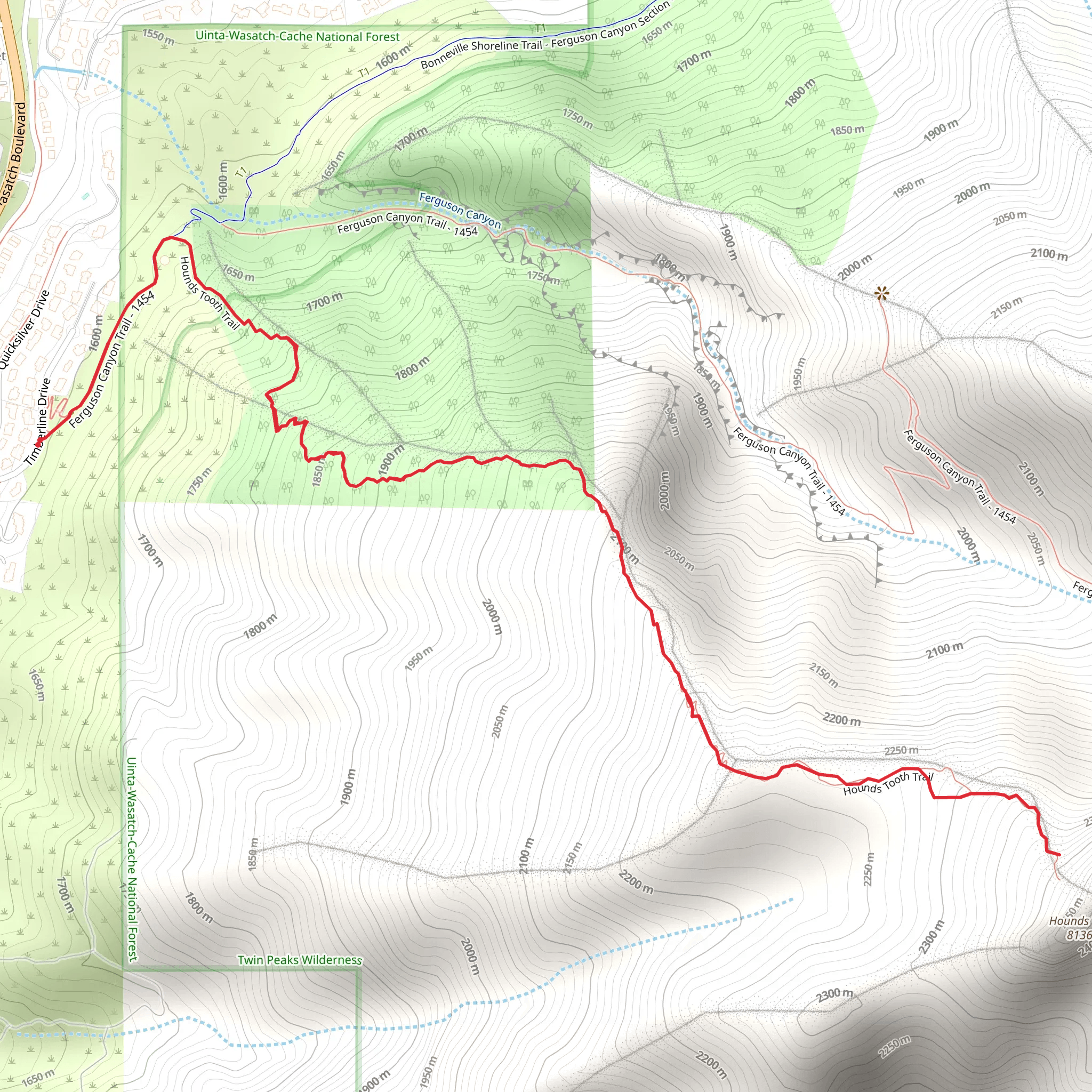 Hounds Tooth Trail mobile static map