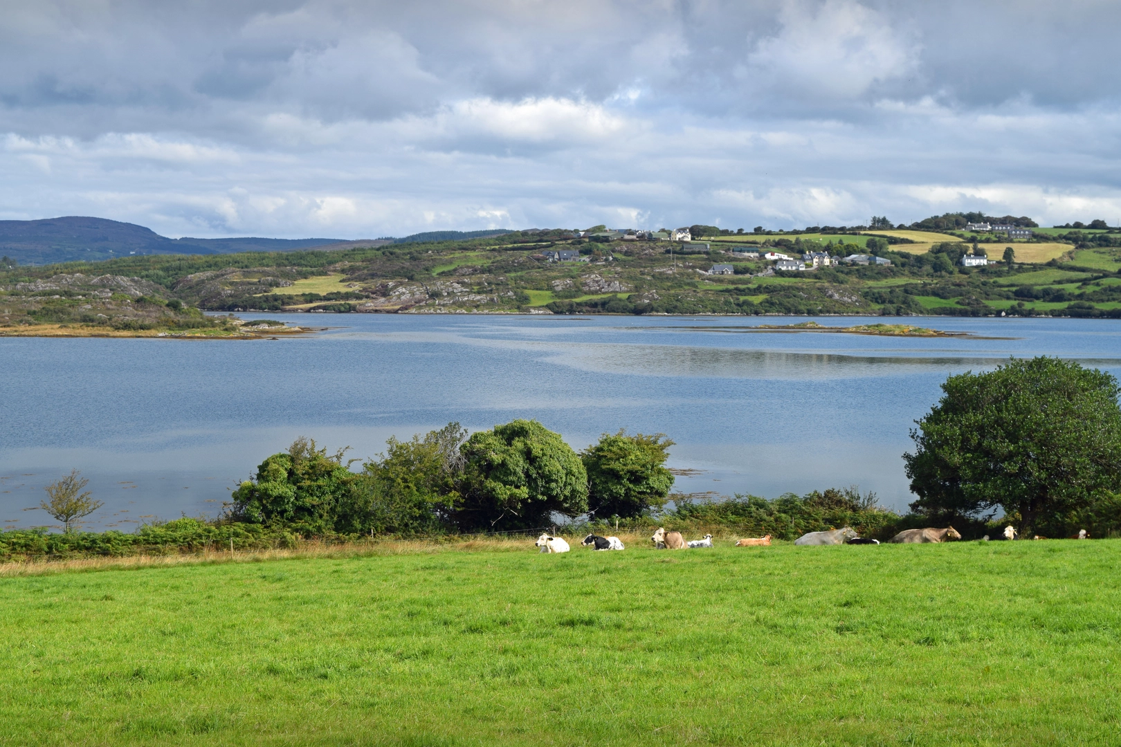 An image depicting the trail Fastnet Trails - Butter Road Walk and its surrounding area.