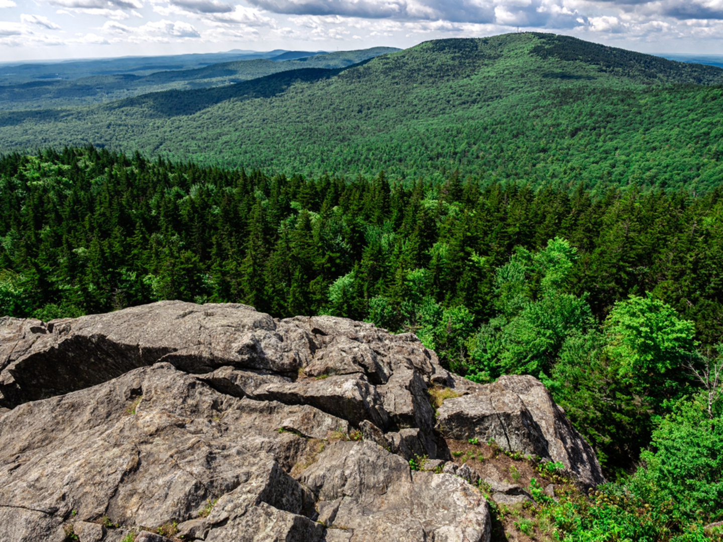 An image depicting the trail North Pack Monadnock Mountain Trail and its surrounding area.