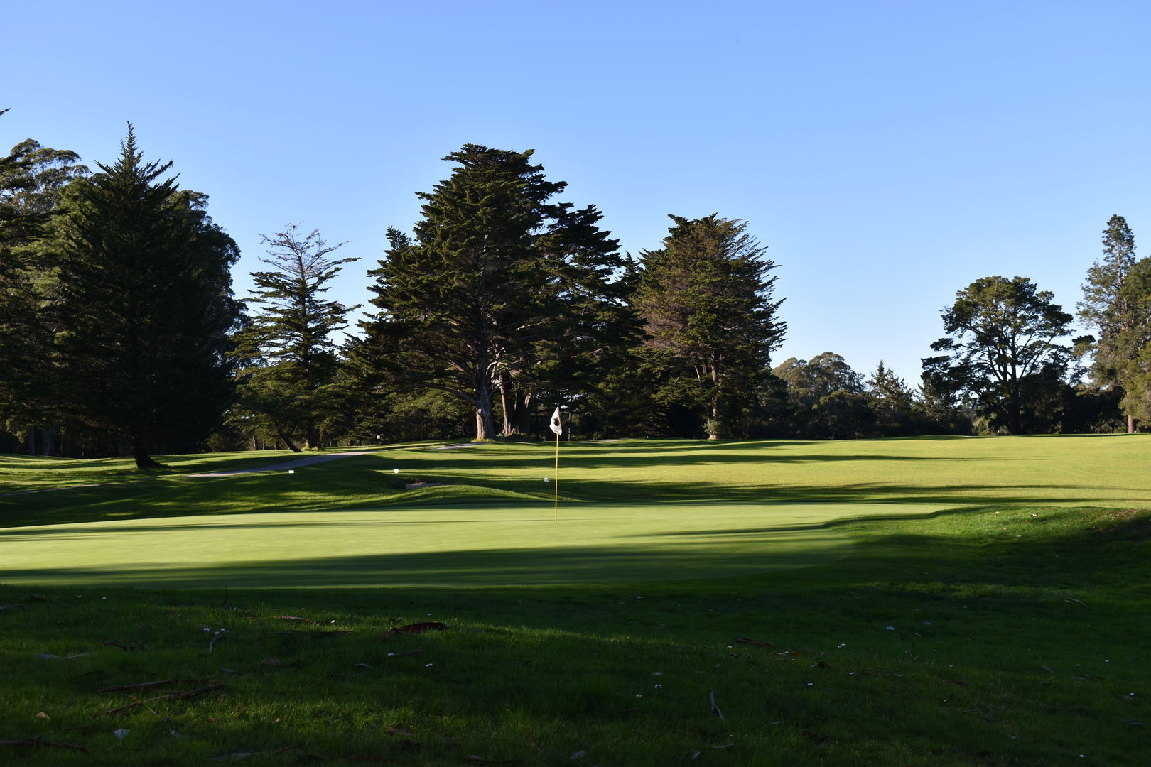 An image depicting the trail La Corona, Redwood Lower and DeLaveaga Upper Loop Trail and its surrounding area.