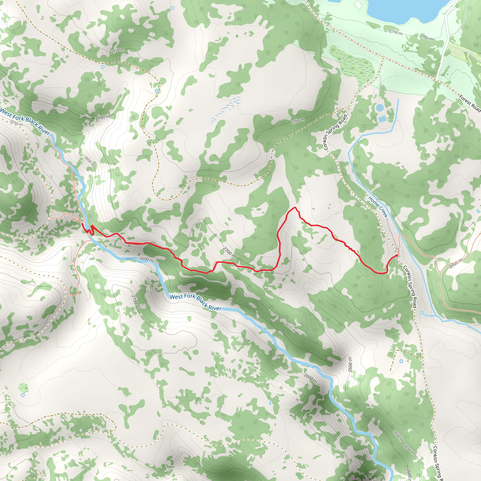West Fork Black River from Conklin Spring Road mobile static map